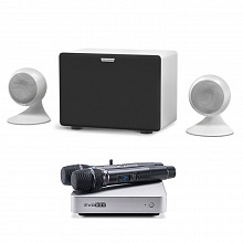 Домашнее профессиональное караоке EVOBOX PLUS Silver + Sphere 2.1 Pearl