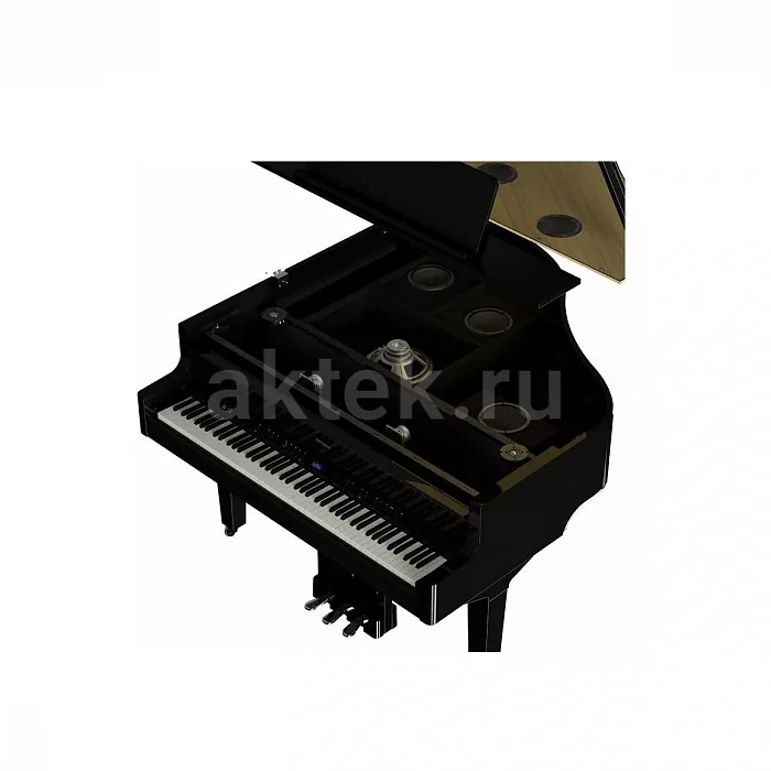 Roland GP 9M PE цифровой рояль-дисклавир, 88 клавиш, самоиграющий механизм 4
