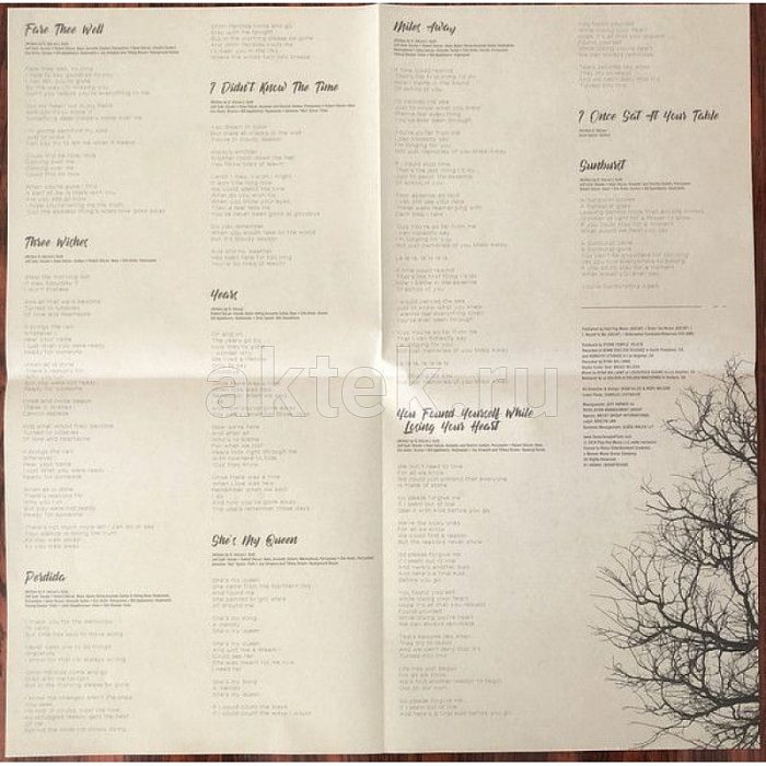 Виниловая пластинка STONE TEMPLE PILOTS - PERDIDA BLACK VINYL 12" 5
