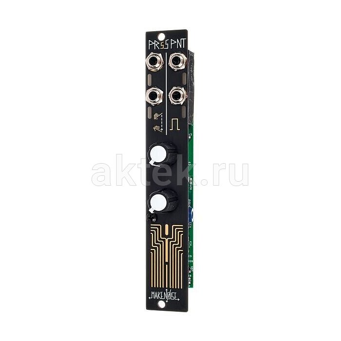Eurorack-модуль Make Noise PRSS PNT