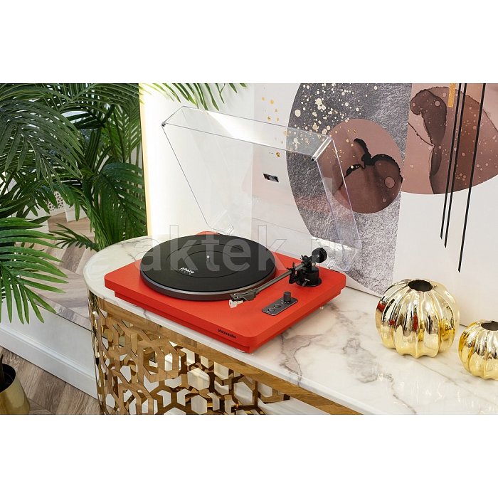 Phaze Audio VOLT Black + Diana MK2 Valkyrian Red стереосистема 3
