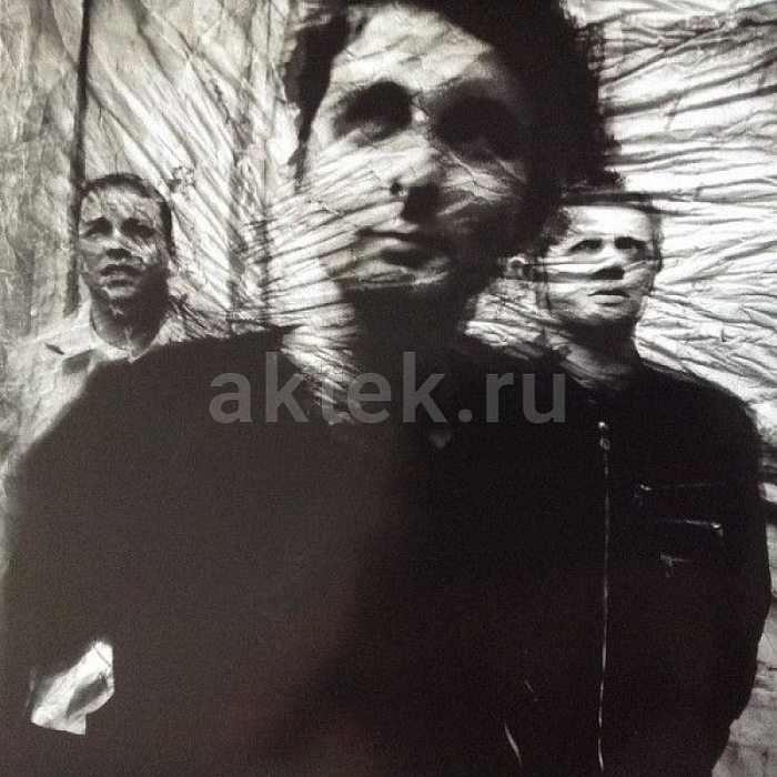 Виниловая пластинка MUSE - ABSOLUTION 180 GRAM BLACK VINYL 12" 3