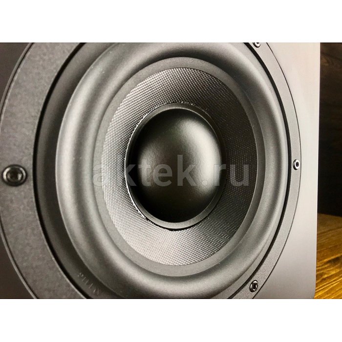 Студийный сабвуфер Eve Audio TS107 4