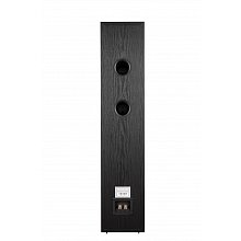 Phaze Audio Tilia 1 Black пассивная напольная АС 2×6,5″ 35–150Вт 2