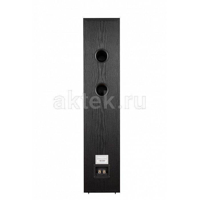 Phaze Audio Tilia 1 Black пассивная напольная АС 2×6,5″ 35–150Вт 2