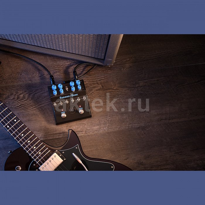 Гитарная педаль эффектов Warm Audio WA-TOT Throne of Tone 3