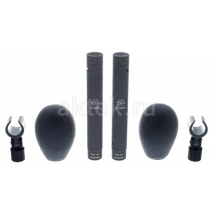 Студийные микрофоны Schoeps Stereo Set CMC 6 and MK 5 2