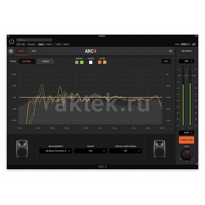 Программное обеспечение IK Multimedia ARC Studio 4 18