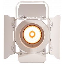 Прожектор ADJ Encore FR20 DTW white 3 Прожектор ADJ Encore FR20 DTW white 3