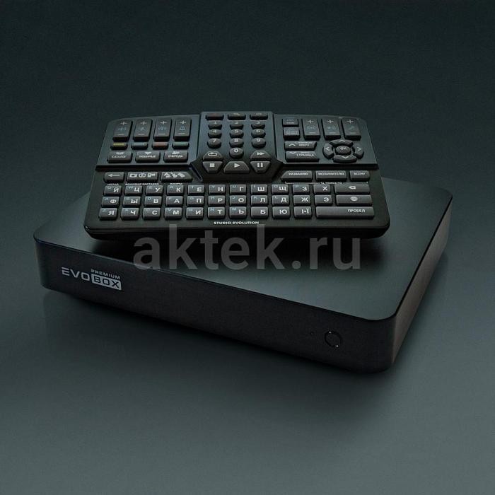 Караоке система с микрофонами и акустикой Studio Evolution EVOBOX Premium+SE 200D+Audio Pro A38 2