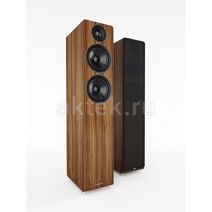 Напольная акустическая система Acoustic Energy 109 коричневый 2