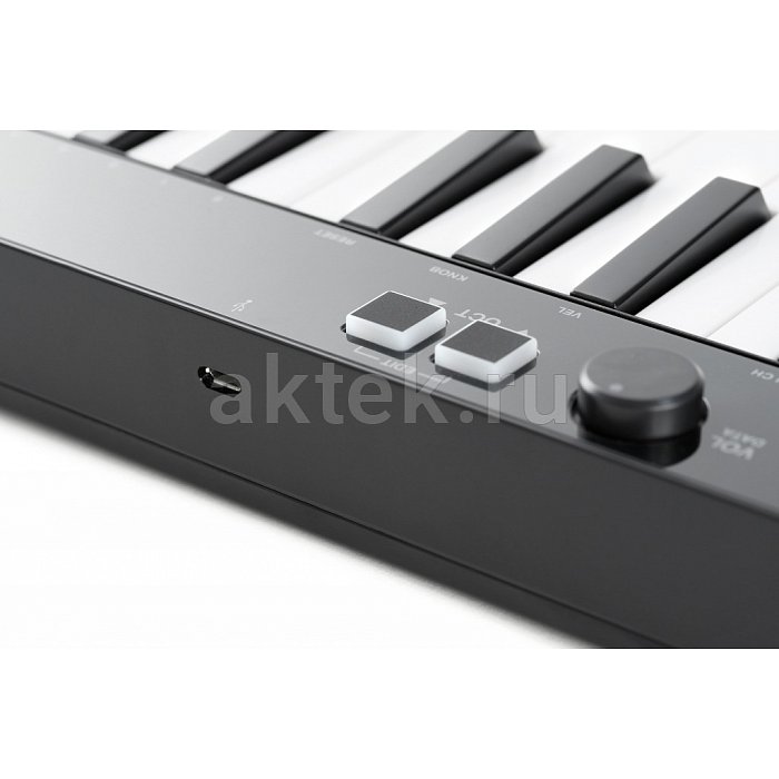 MIDI-клавиатура IK MULTIMEDIA iRig Keys 25 2