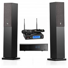 Караоке система с микрофонами и акустикой AST MINI+AST-926M+Audio Pro A38