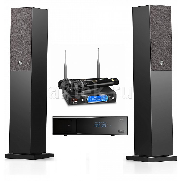 Караоке система с микрофонами и акустикой AST MINI+AST-926M+Audio Pro A38