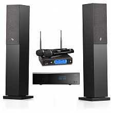Караоке система с микрофонами и акустикой AST MINI+AST-926M+Audio Pro A38