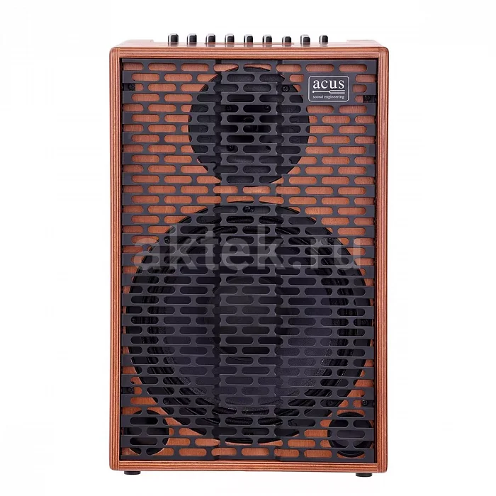 Acus One ForStrings 10Ferdi Wood гитарный усилитель, 250 Вт