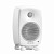 Студийный монитор GENELEC 8020DWM Monitor 8020D white