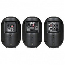 Настенный громкоговоритель SHOW CSB10T BK 2