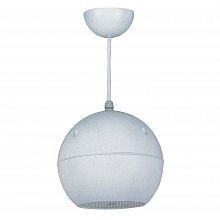 Громкоговоритель SHOW CSR-206