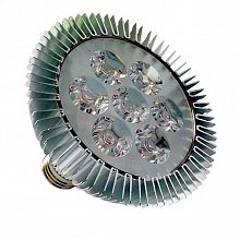 Светодиодная лампа Showlight Lamp PAR30 LED7W