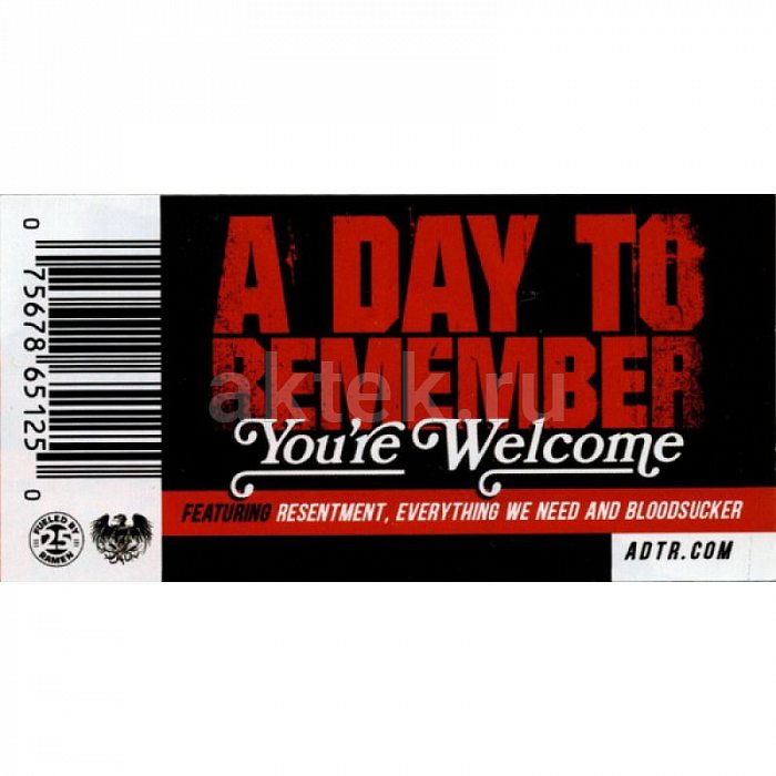 Виниловая пластинка A DAY TO REMEMBER - YOU'RE WELCOME 180 GRAM BLACK VINYL 12" 2