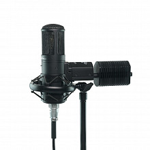 Студийный микрофон Stam Audio SA800G 3