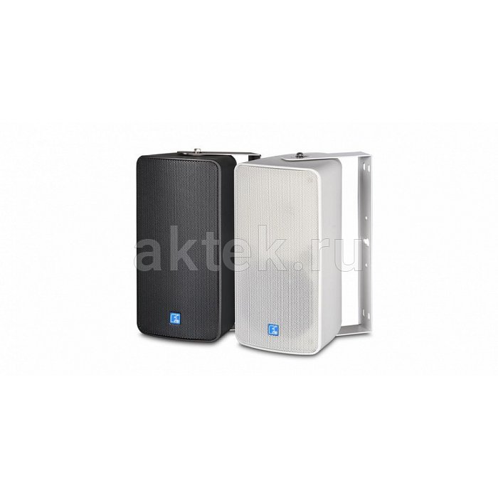 FDB Audio ES106BT Black пассивная настенная 100В-акустика 6″ 80Вт IP46