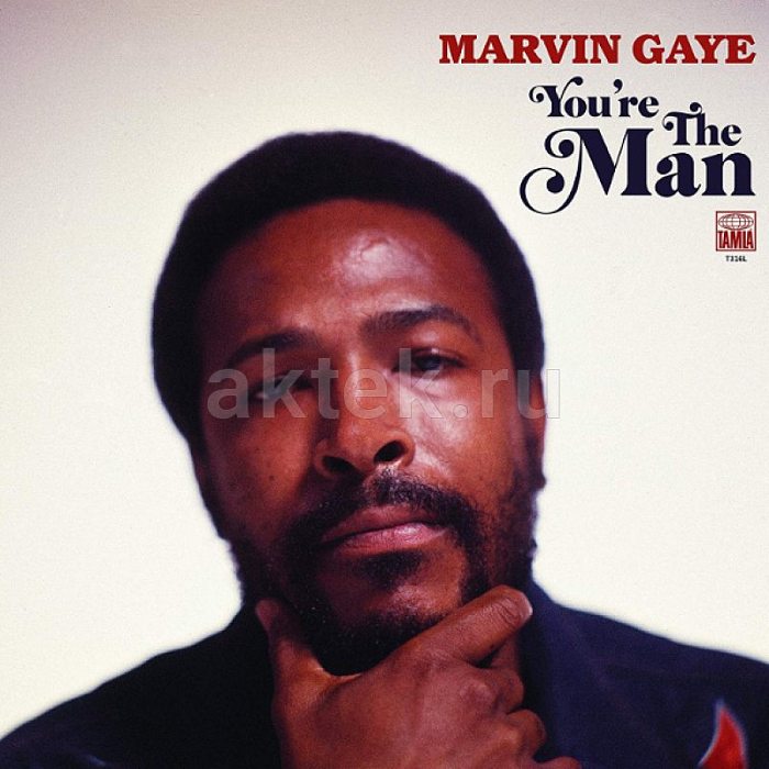 Виниловая пластинка MARVIN GAYE - YOU'RE THE MAN BLACK VINYL 12"