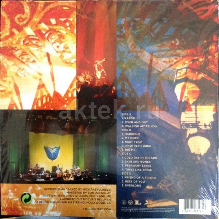 Виниловая пластинка FOO FIGHTERS - SKIN AND BONES 180 GRAM BLACK VINYL 12" 2