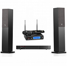 Караоке система премиум класса с акустикой и микрофонами AST 250+AST-926M+Audio Pro A36
