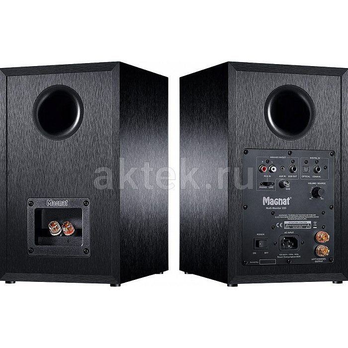 Комплект караоке с акустикой AST MINI + Magnat Multi Monitor 220 13