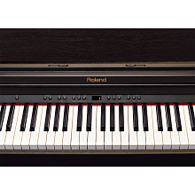 Электропиано ROLAND RP501R-CR 2