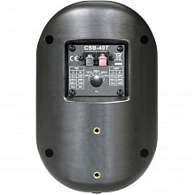 Громкоговоритель настенный SHOW CSB-40T/BK 2