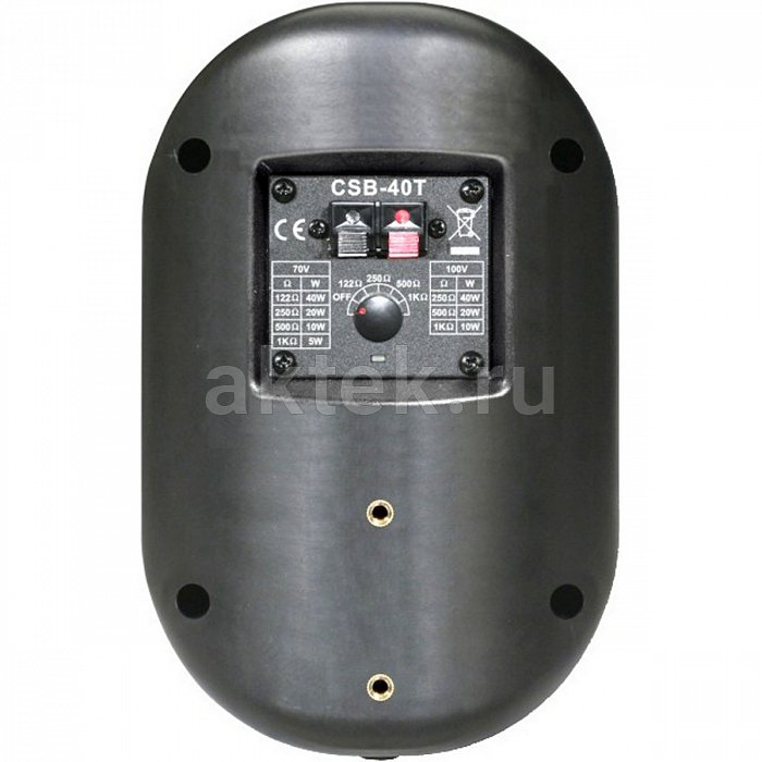 Громкоговоритель настенный SHOW CSB-40T/BK 2