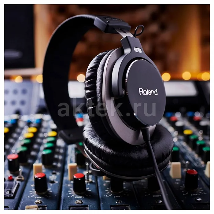 Roland RH-300 мониторные наушники, закрытые, 10 Гц–25 кГц 5