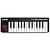 MIDI-клавиатура AKAI PRO LPK25 WIRELESS