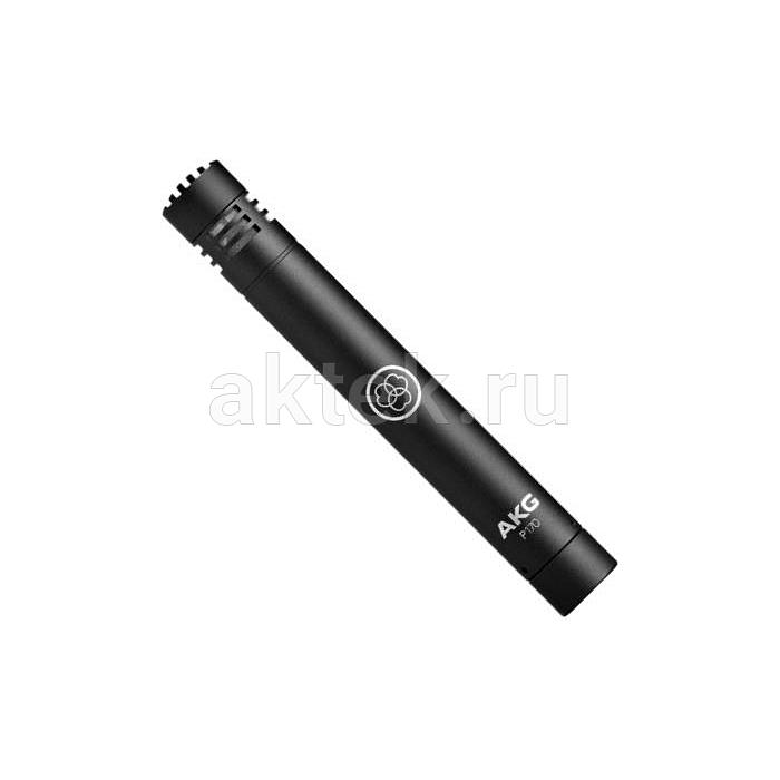 Инструментальный микрофон AKG P170 3
