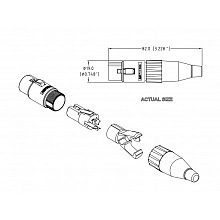 Разъем XLR AMPHENOL AC3F 2