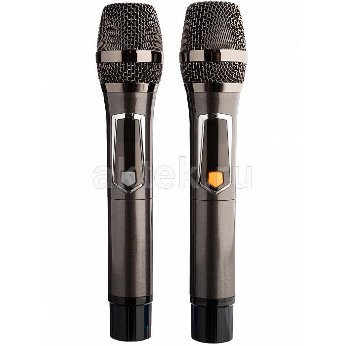Портативная колонка с караоке и микрофонами Alats PRO GHD-200 коричневый 6