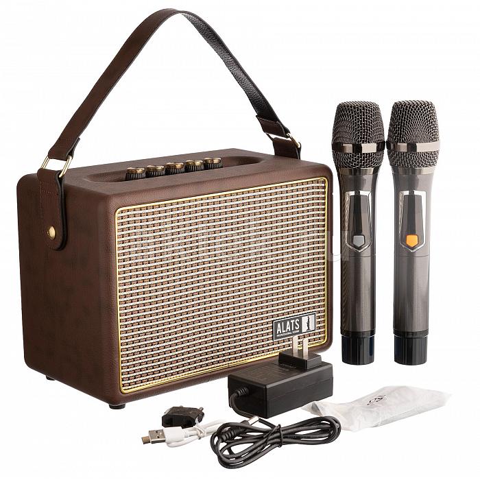 Портативная колонка с караоке и микрофонами Alats PRO GHD-200 коричневый 7