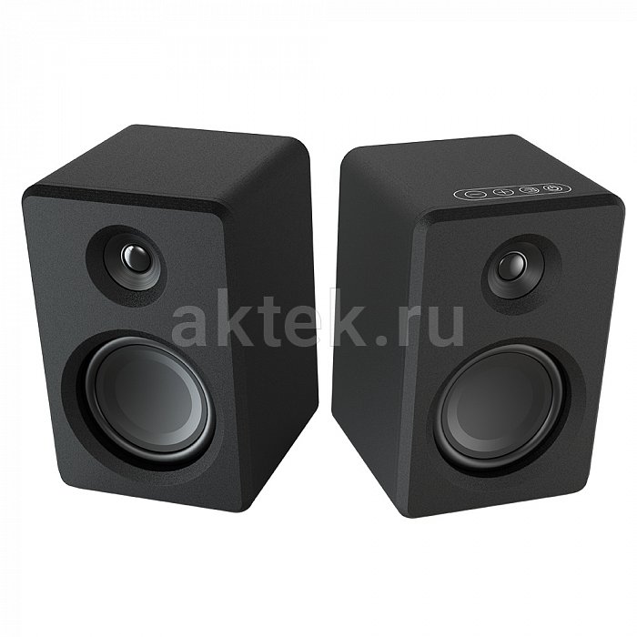 Акустическая система SkyDisco DS-2019 Black 45W 11
