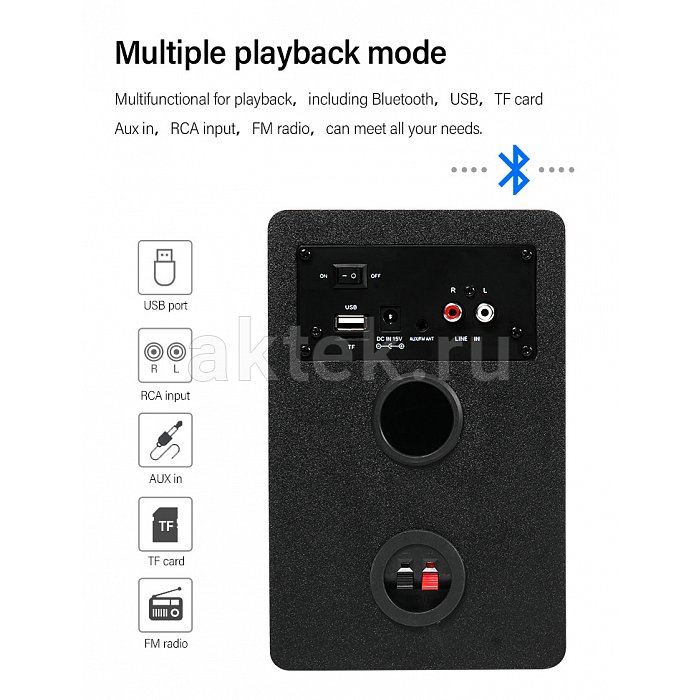 Акустическая система SkyDisco DS-2019 Black 45W 13