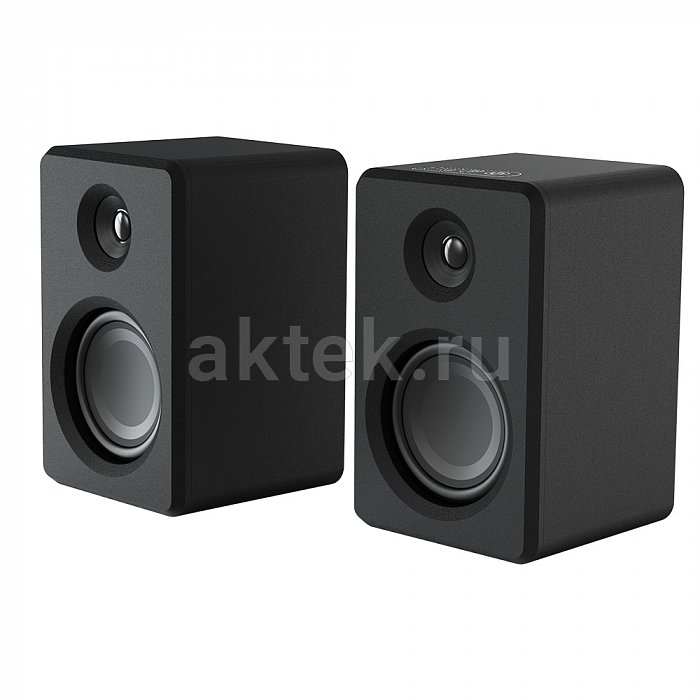 Акустическая система SkyDisco DS-2019 Black 45W 2
