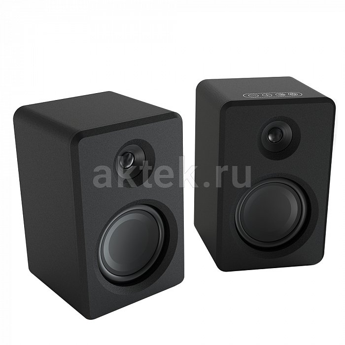 Акустическая система SkyDisco DS-2019 Black 45W 3
