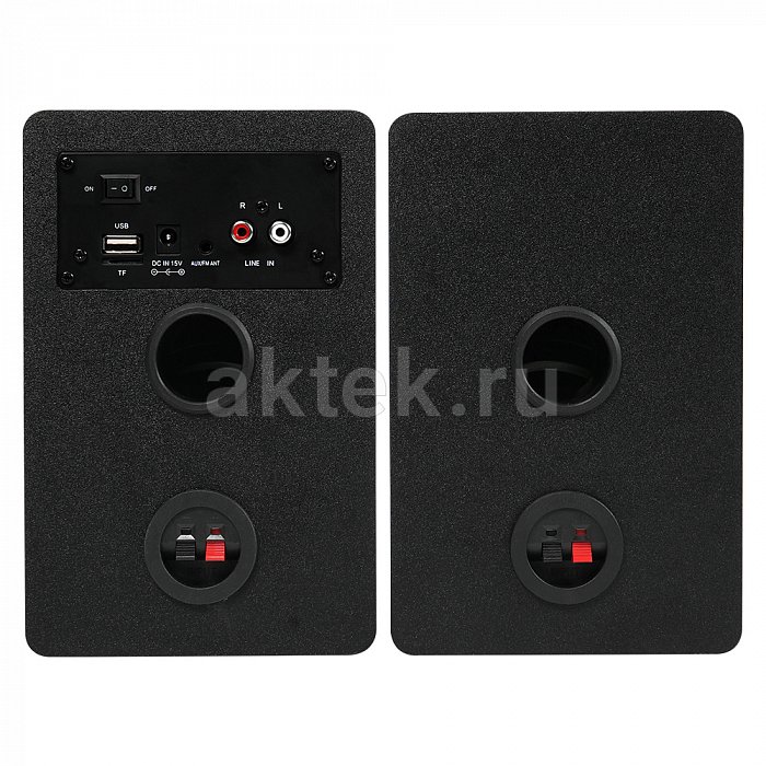 Акустическая система SkyDisco DS-2019 Black 45W 4