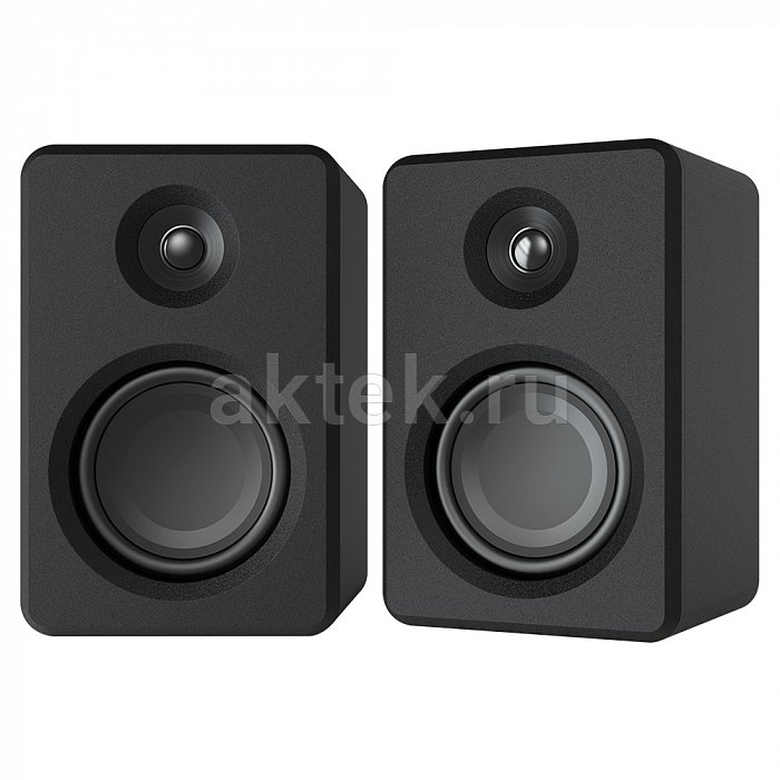 Акустическая система SkyDisco DS-2019 Black 45W 5