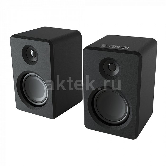 Акустическая система SkyDisco DS-2019 Black 45W 10