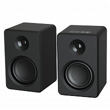 Акустическая система SkyDisco DS-2019 Black 45W