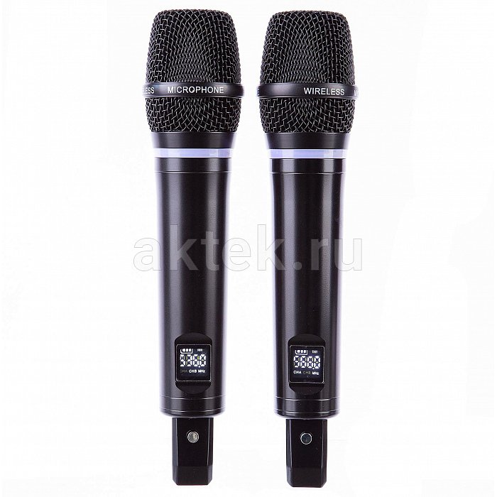 Караоке-система SkyDisco MIC-WL22 Bluetooth с беспроводными микрофонами и микшером 4