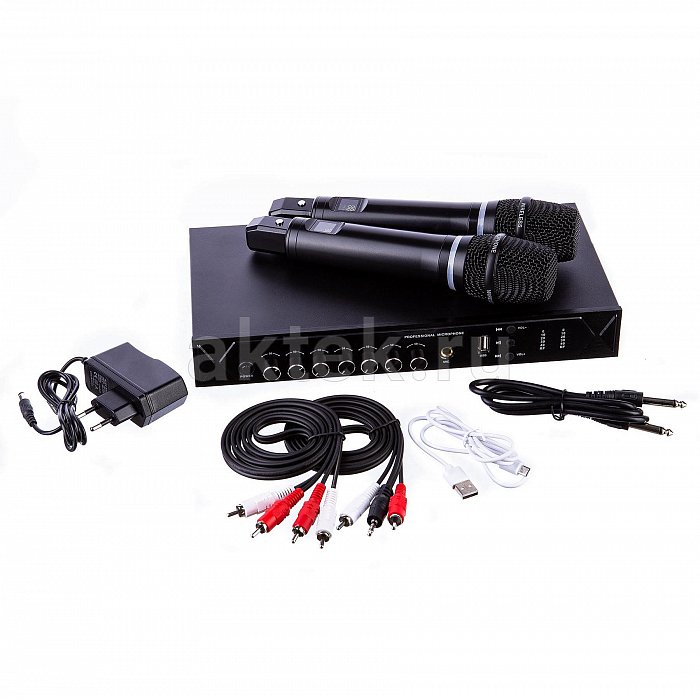 Караоке-система SkyDisco MIC-WL22 Bluetooth с беспроводными микрофонами и микшером 6